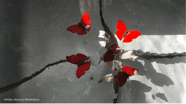 L' ORGANISATION DYNAMIQUE des ENTREPRISES